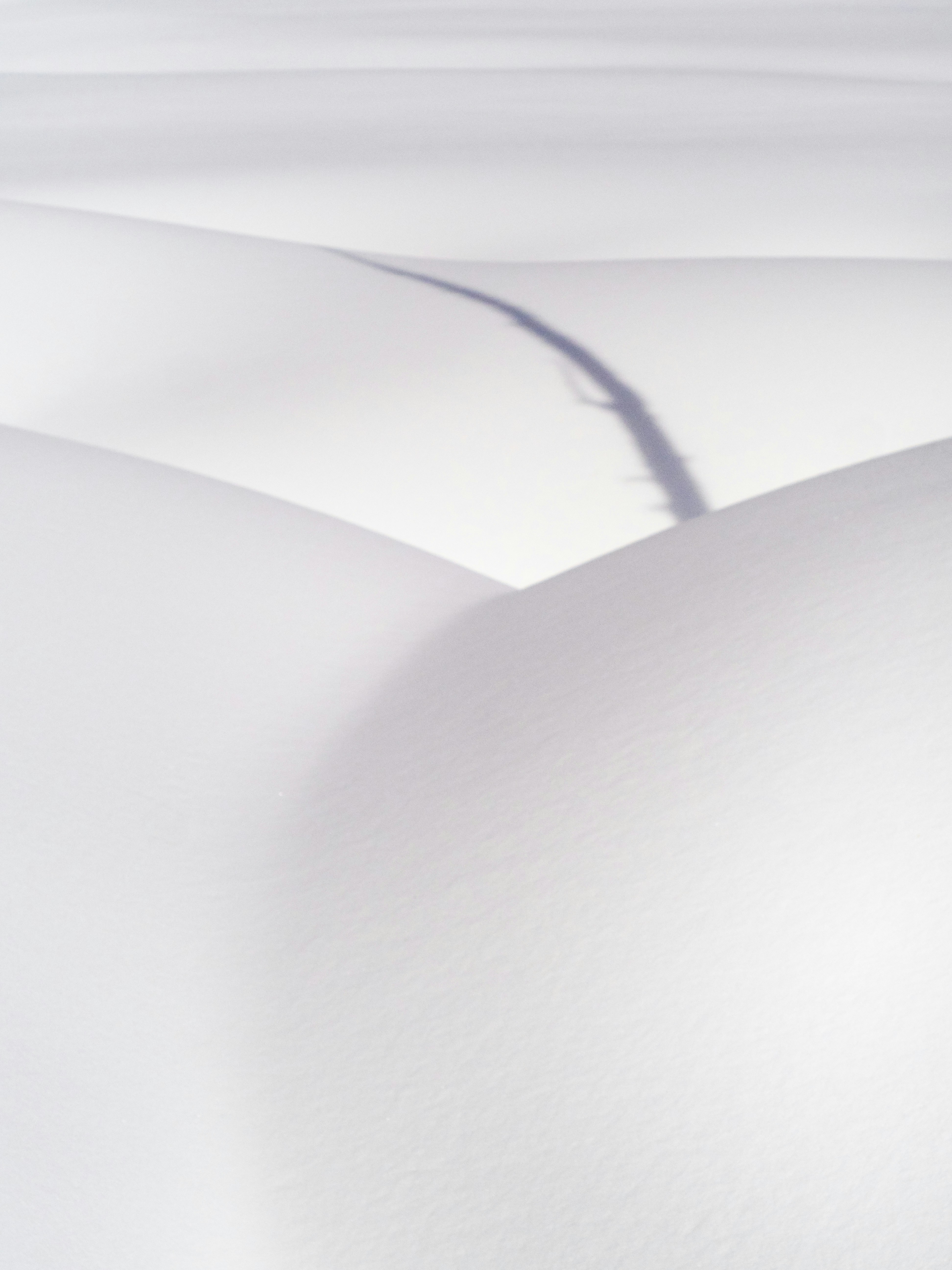 Photo by greg_rosenke