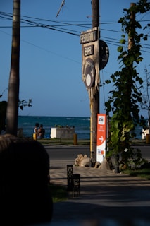 A tropical street scene featuring a signpost for a restaurant and bar, with lush green foliage climbing on nearby poles. In the background, there are glimpses of the ocean under a clear, blue sky. Two people are seated by a concrete block near the water. An ATM sign is visible, indicating nearby cash services.