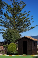 Assembled garden shed standing sturdy among green shrubs.