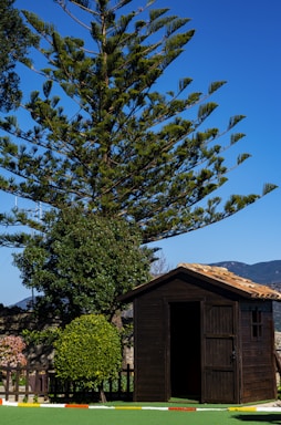 A cozy shed with ample storage.