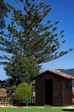 A beautifully crafted wooden garden shed nestled among lush greenery, showcasing natural wood textures and clean lines.