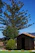 A happy customer standing beside their newly installed wooden wendy house in a sunny backyard.