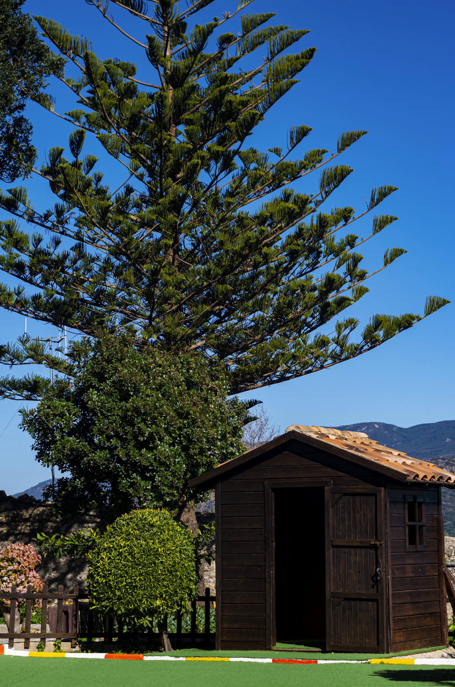 black and white bed linen