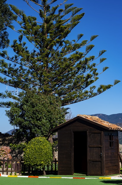 A charming wooden shed stands amidst a well-maintained garden with a tall, lush conifer tree towering above it. The shed has a tiled roof and a slightly open door, with a backdrop of a clear blue sky and distant mountains. Neat shrubs and a small fence surround the area.