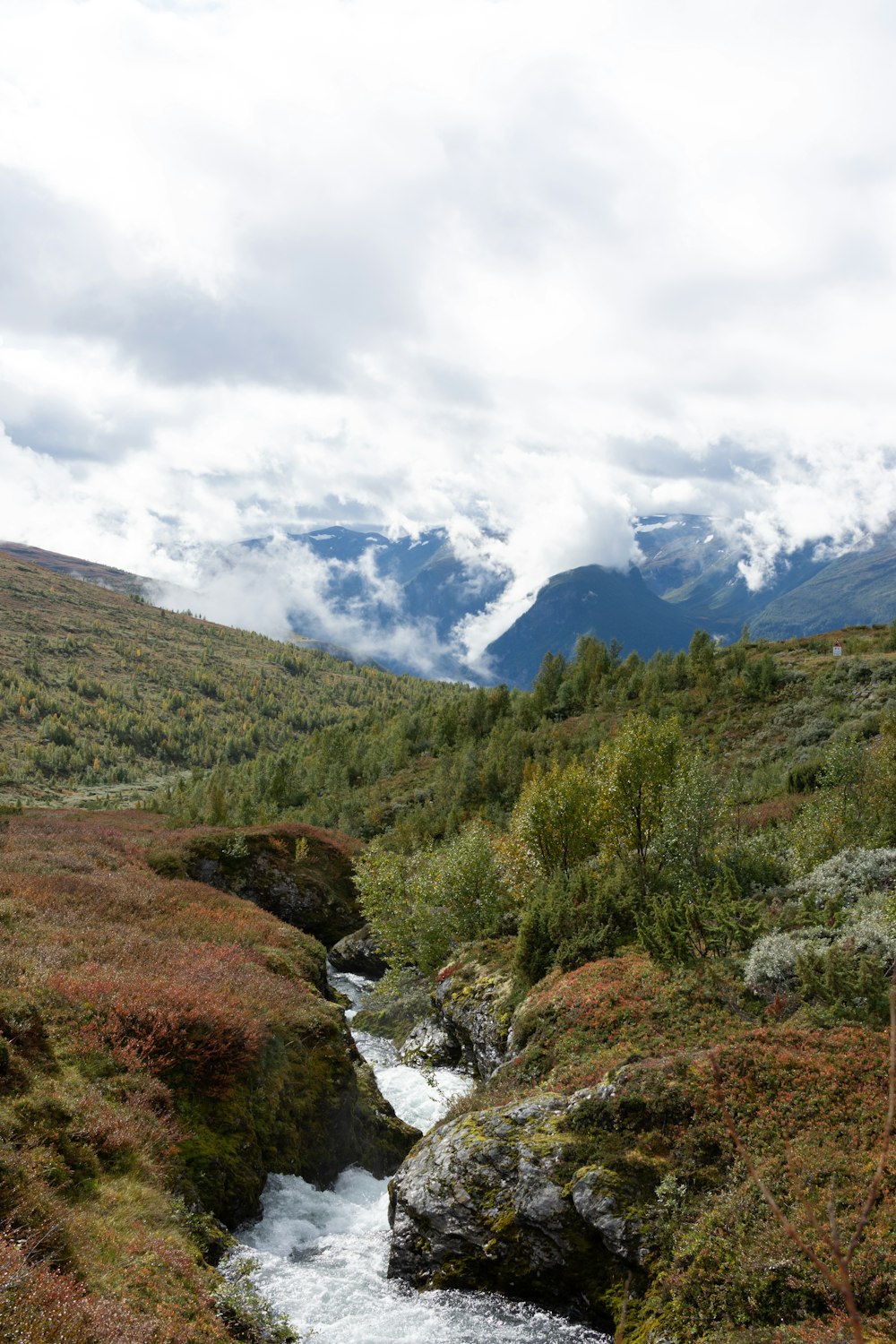 a stream running through a lush green hillside