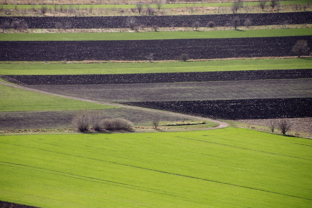 an aerial view of a green field with trees