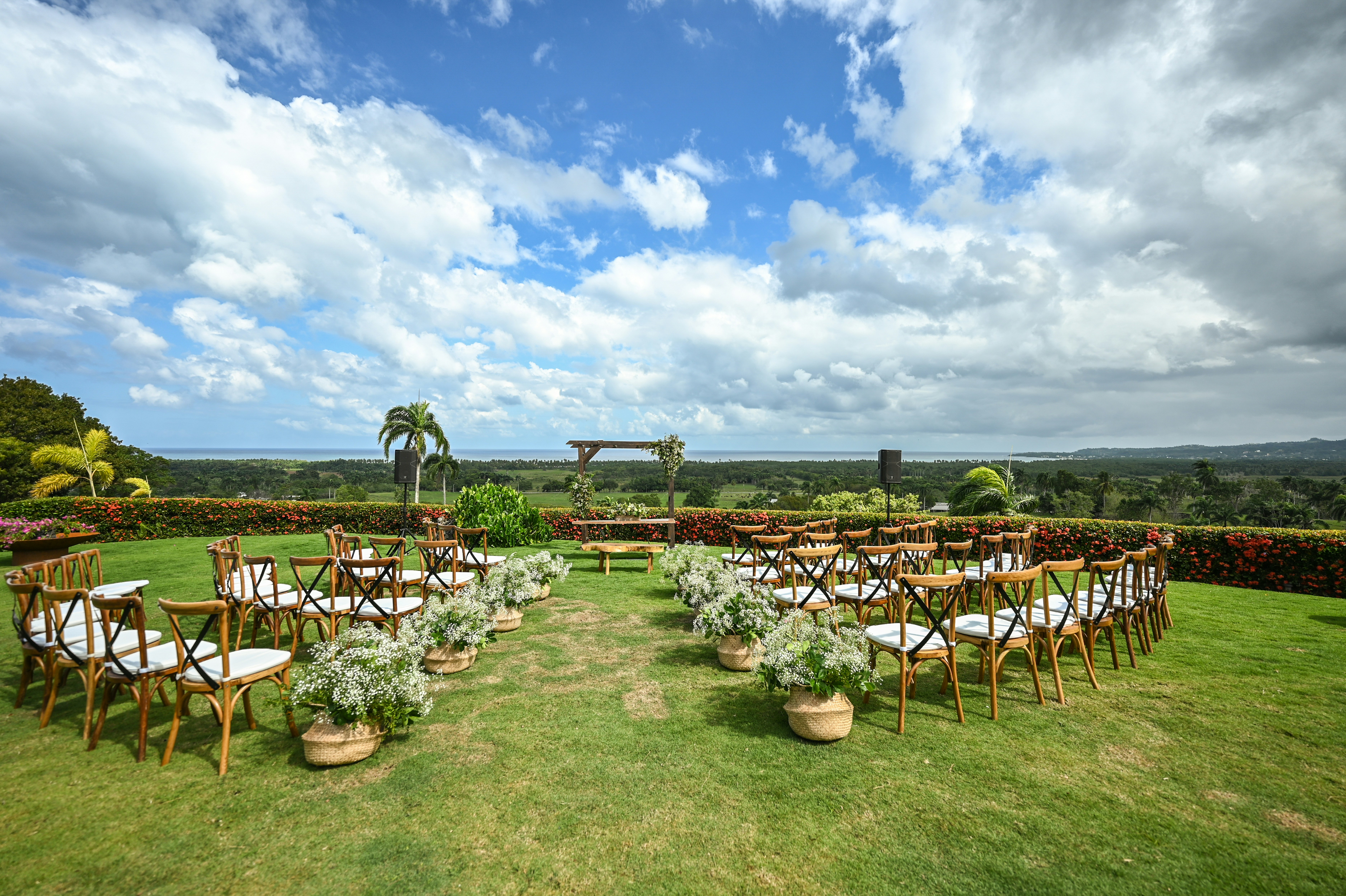 Paws & Promises | Cairns Wedding Dog Assistants's image