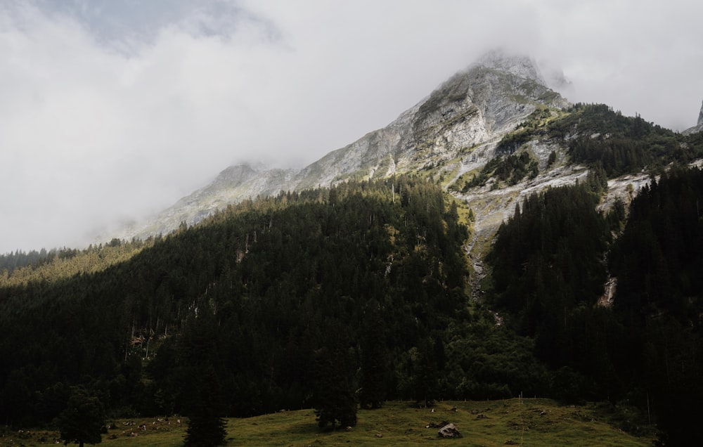 a mountain covered in clouds and trees on a cloudy day