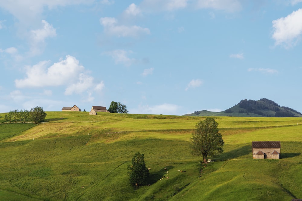 a grassy hill with a house on top of it