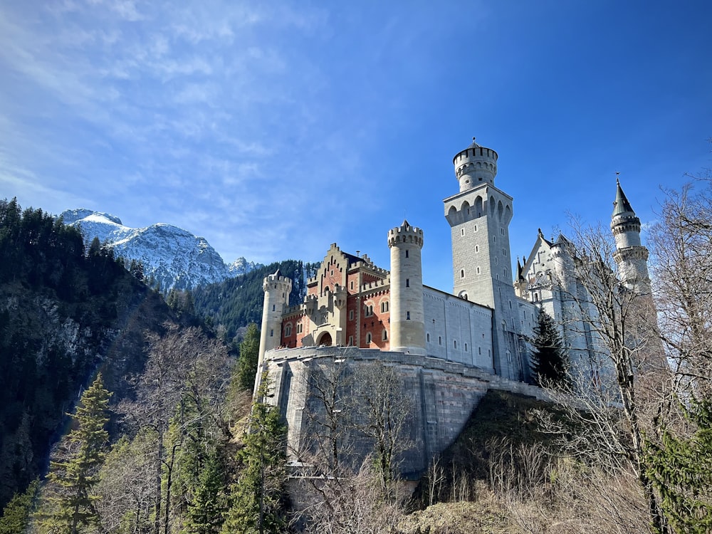 a castle on top of a hill surrounded by trees