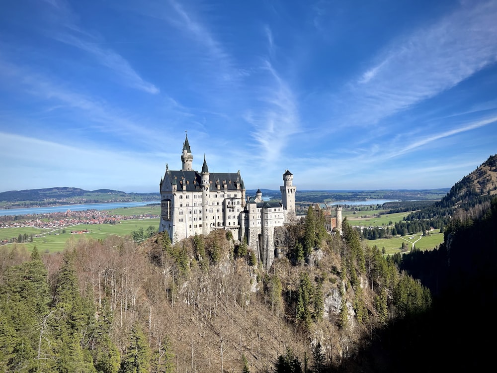 a castle on top of a hill surrounded by trees