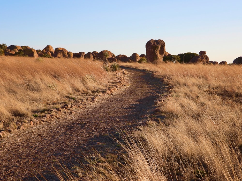 a dirt path in a dry grass field