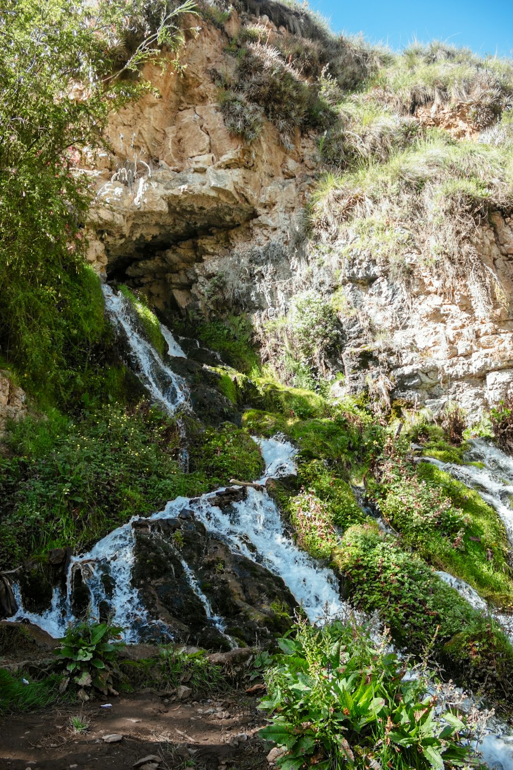 a small waterfall in the middle of a forest