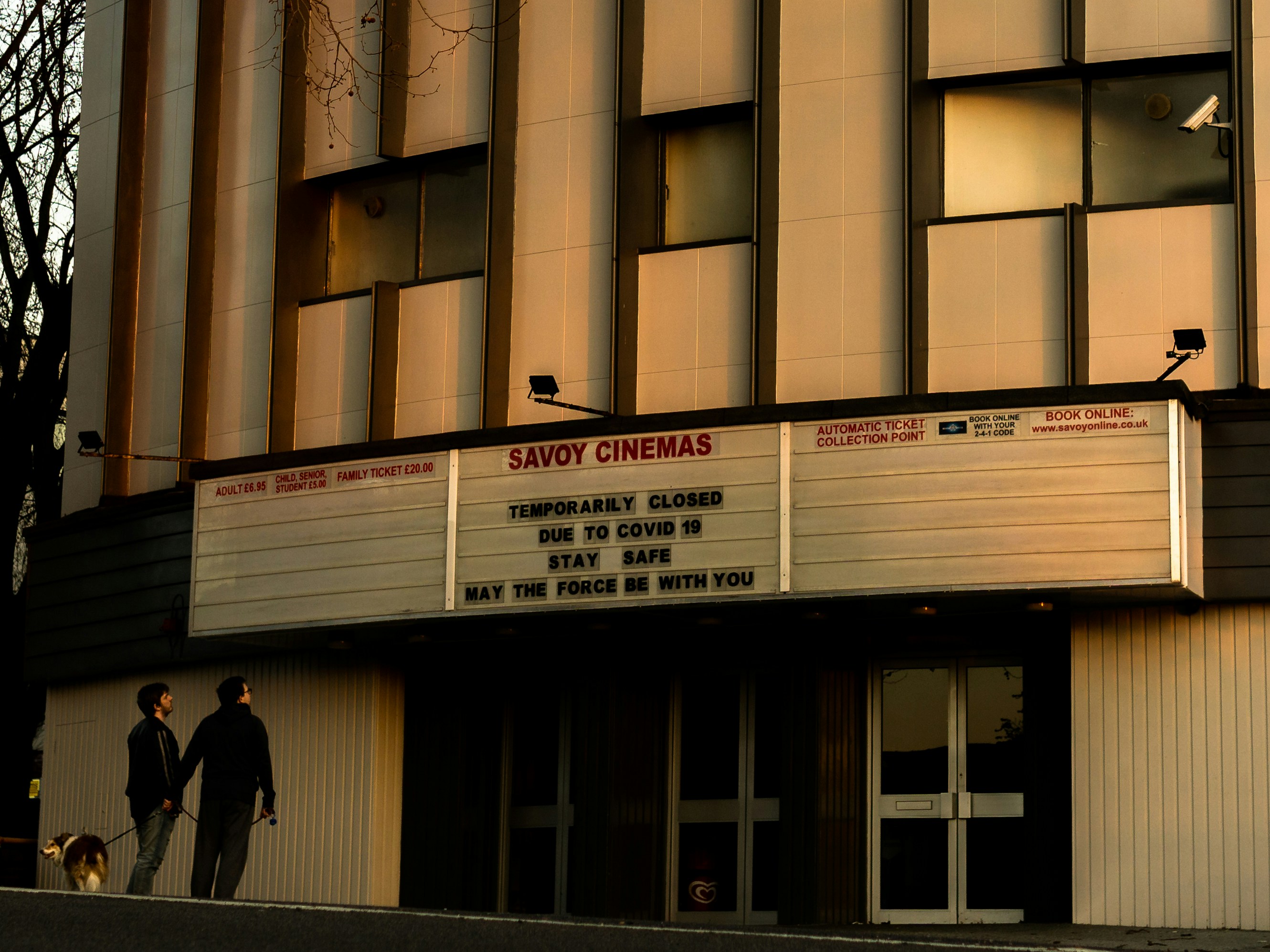 black and brown leather padded tub sofa