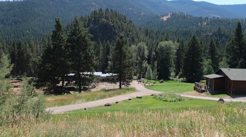 A scenic landscape featuring a lush green forest on rolling hills with a log cabin on the right side. A winding gravel path leads through well-manicured lawns amid tall trees under a clear blue sky.