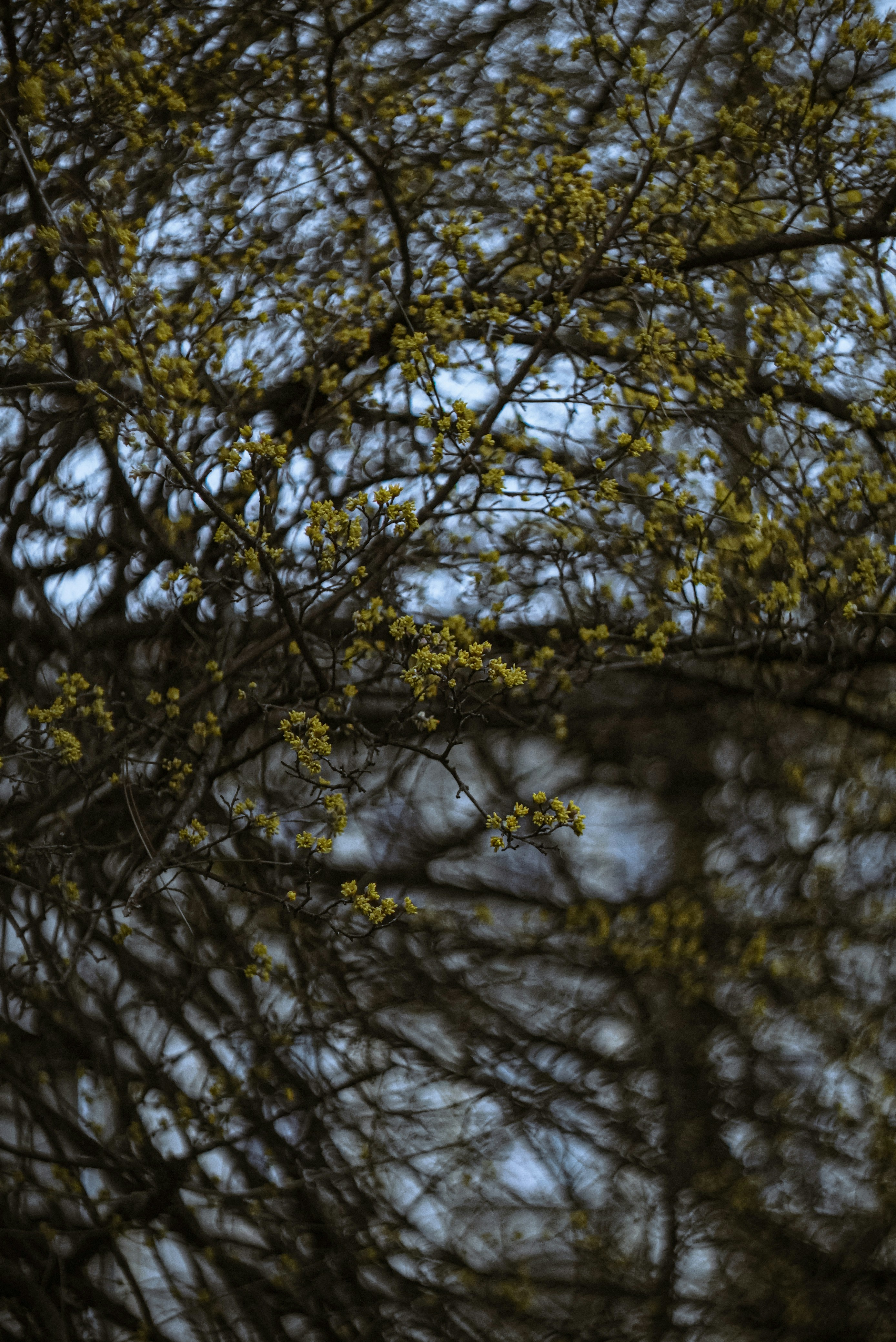 Photo by annabell_flem