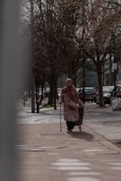 An elderly person is walking along a sidewalk using a cane and pulling a shopping cart. The individual is wearing a long coat and headscarf. Bare trees line the street, and there are parked cars in the background. The atmosphere appears quiet, and the pavement is slightly wet.
