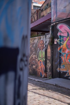 Colorful graffiti art adorns the walls of an urban alley. The artwork features vibrant and expressive faces, with abstract shapes and vivid colors, adding an artistic and lively touch to the rustic surroundings.