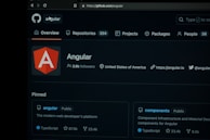 A screenshot of the Angular project on GitHub, showing information such as the number of followers, location, and website link. Key sections include an overview, repositories, projects, packages, and pinned projects. The page features the Angular logo prominently.