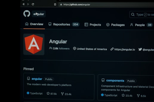 A screenshot of the Angular project on GitHub, showing information such as the number of followers, location, and website link. Key sections include an overview, repositories, projects, packages, and pinned projects. The page features the Angular logo prominently.