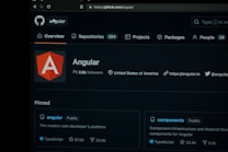 A screenshot of the Angular project on GitHub, showing information such as the number of followers, location, and website link. Key sections include an overview, repositories, projects, packages, and pinned projects. The page features the Angular logo prominently.