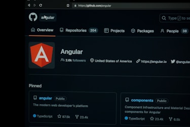 Exploring the Benefits of ng-Delhi: Your Go-To AngularJS Meetup Group