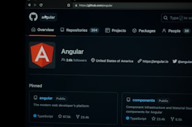 A screenshot of the Angular project on GitHub, showing information such as the number of followers, location, and website link. Key sections include an overview, repositories, projects, packages, and pinned projects. The page features the Angular logo prominently.