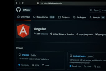 A screenshot of the Angular project on GitHub, showing information such as the number of followers, location, and website link. Key sections include an overview, repositories, projects, packages, and pinned projects. The page features the Angular logo prominently.