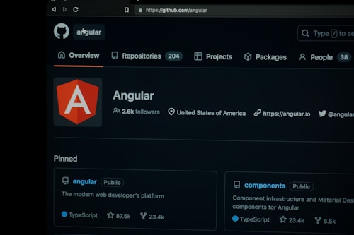 A screenshot of the Angular project on GitHub, showing information such as the number of followers, location, and website link. Key sections include an overview, repositories, projects, packages, and pinned projects. The page features the Angular logo prominently.