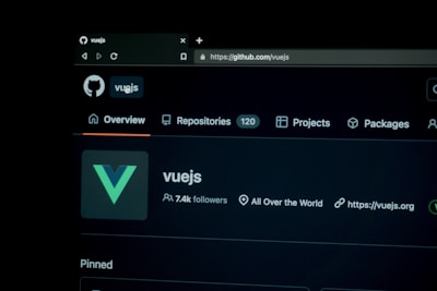 Dashboard interface of a Vue-powered web application.