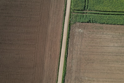 Aerial view of agricultural fields with distinct sections. One side features lush green crops, while the other appears as bare, tilled soil. A dirt path divides the two sections, adding a linear element to the scene.
