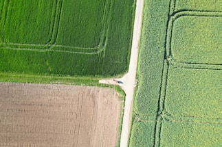 Aerial view of agricultural fields, showcasing distinct sections of lush green crops and tilled brown soil, bordered by a light-colored dirt path intersecting the fields.