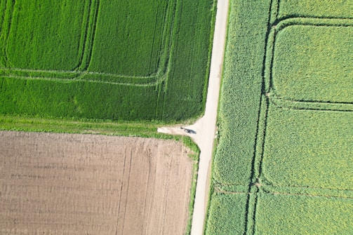Aerial view of agricultural fields, showcasing distinct sections of lush green crops and tilled brown soil, bordered by a light-colored dirt path intersecting the fields.