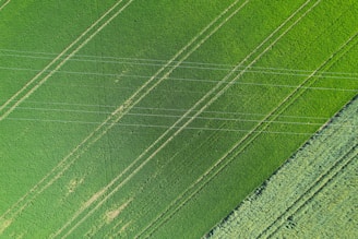 Aerial view of a drone spraying crops in a vibrant green field under a clear blue sky.