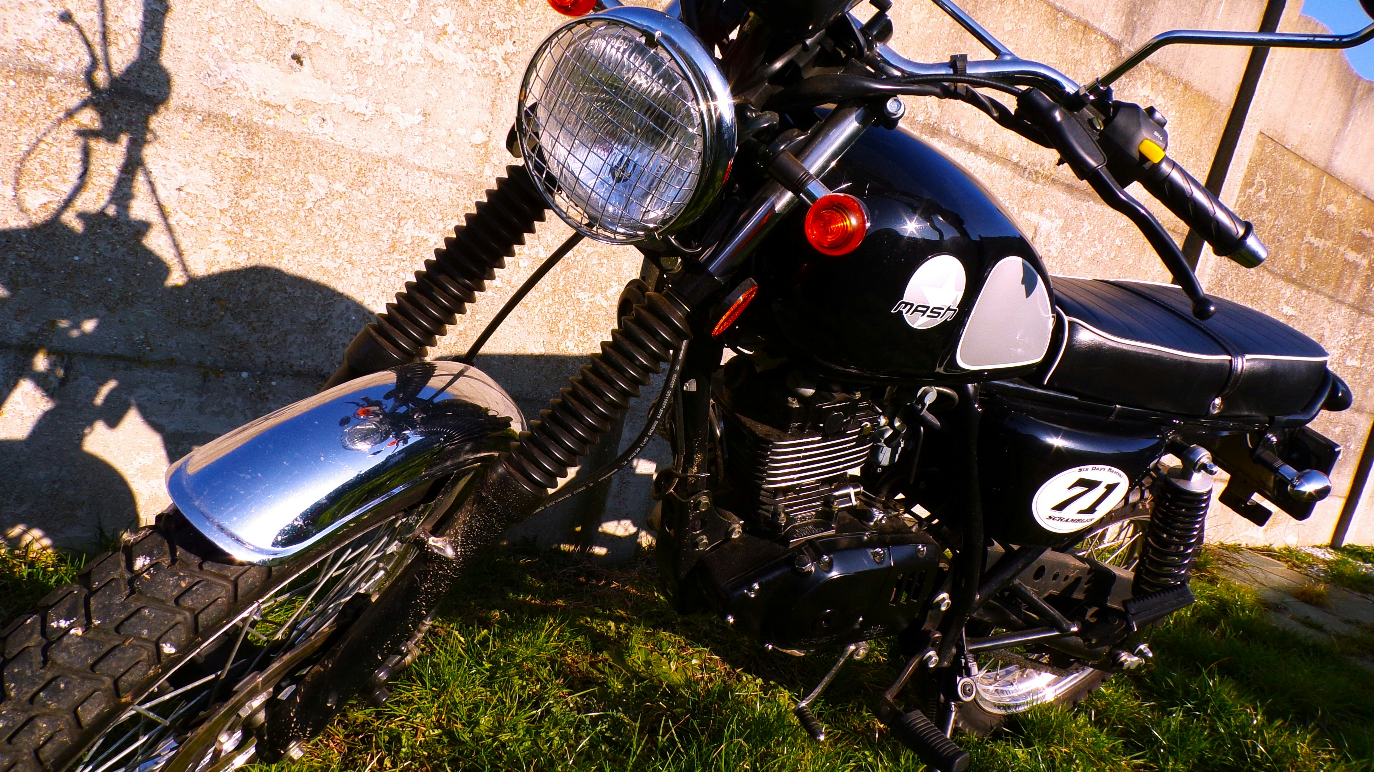 Photo by papay324242