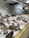 A fish market display with a variety of fresh fish laid out on a bed of ice. Each type of fish has a label with pricing in euros. The surrounding area has white tiled walls decorated with fish illustrations, and industrial lighting brightens the space.