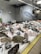 A fish market display with a variety of fresh fish laid out on a bed of ice. Each type of fish has a label with pricing in euros. The surrounding area has white tiled walls decorated with fish illustrations, and industrial lighting brightens the space.