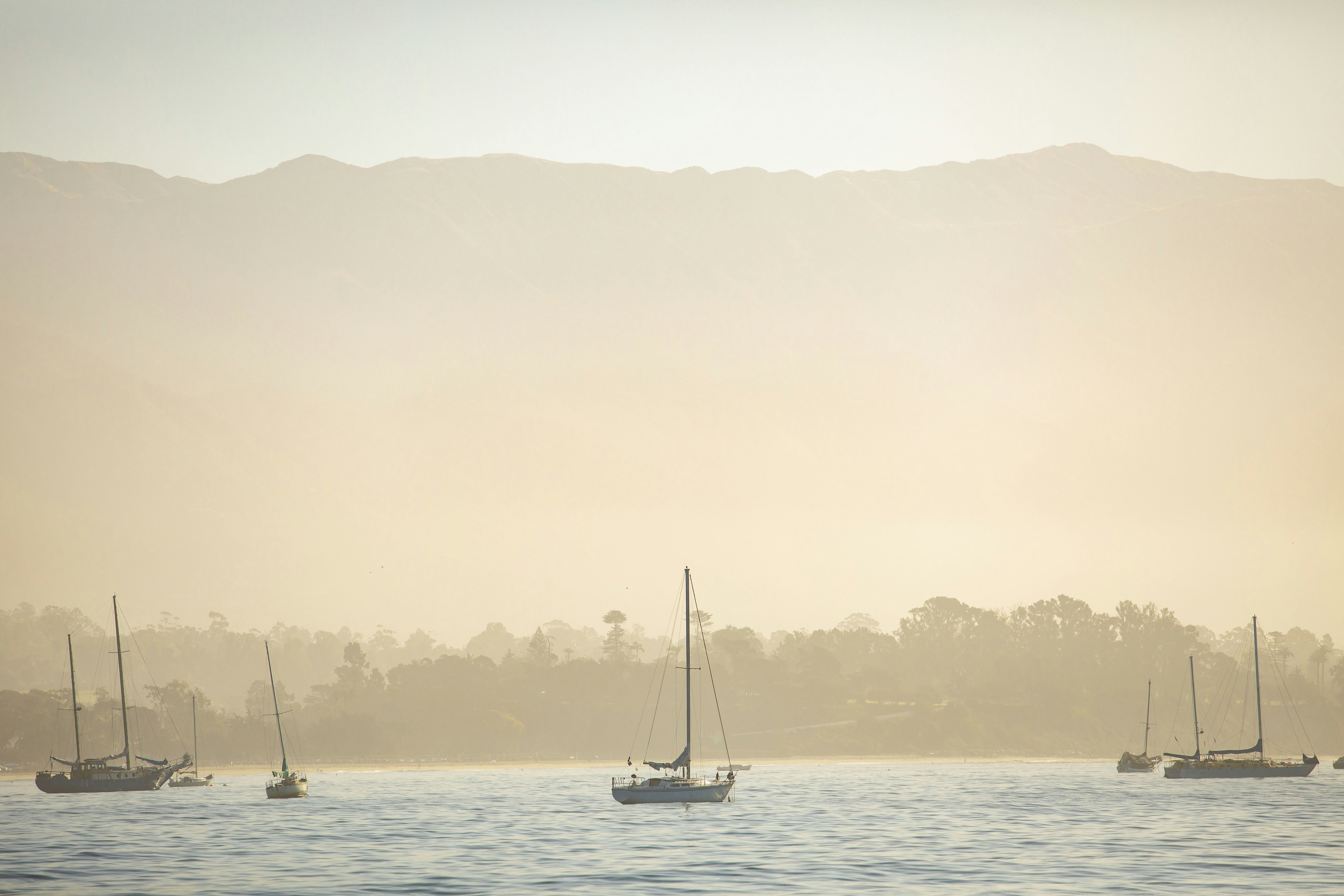 Photo by leo_visions_