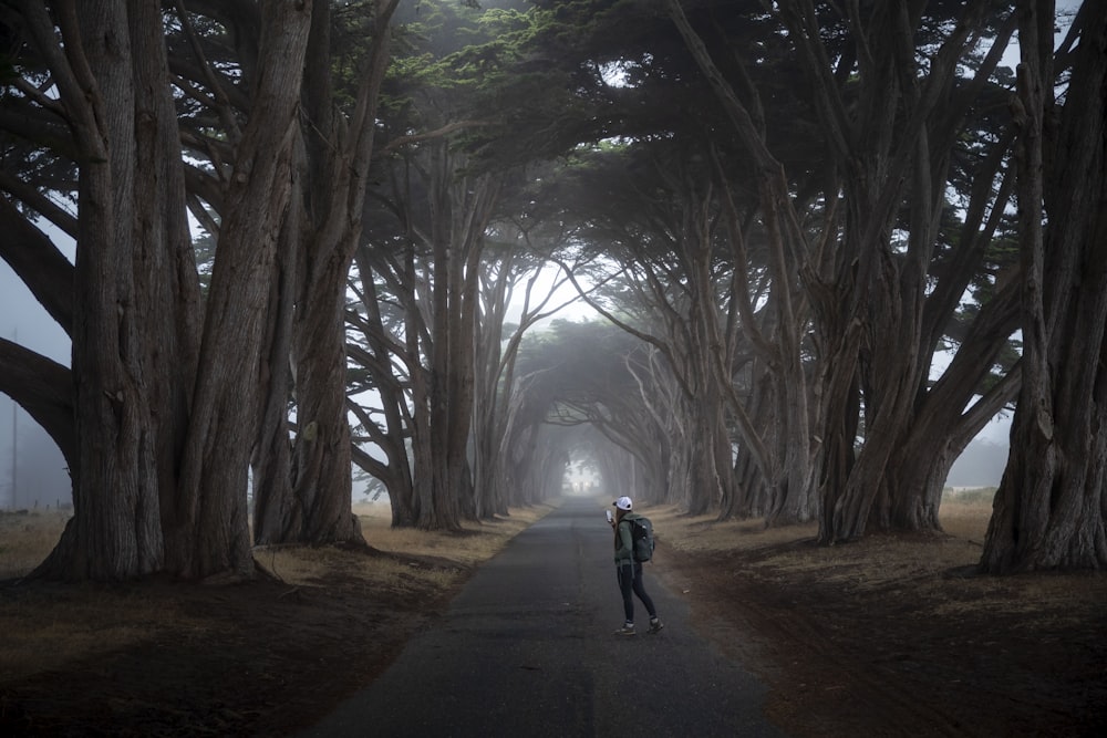 a person standing in the middle of a road surrounded by trees
