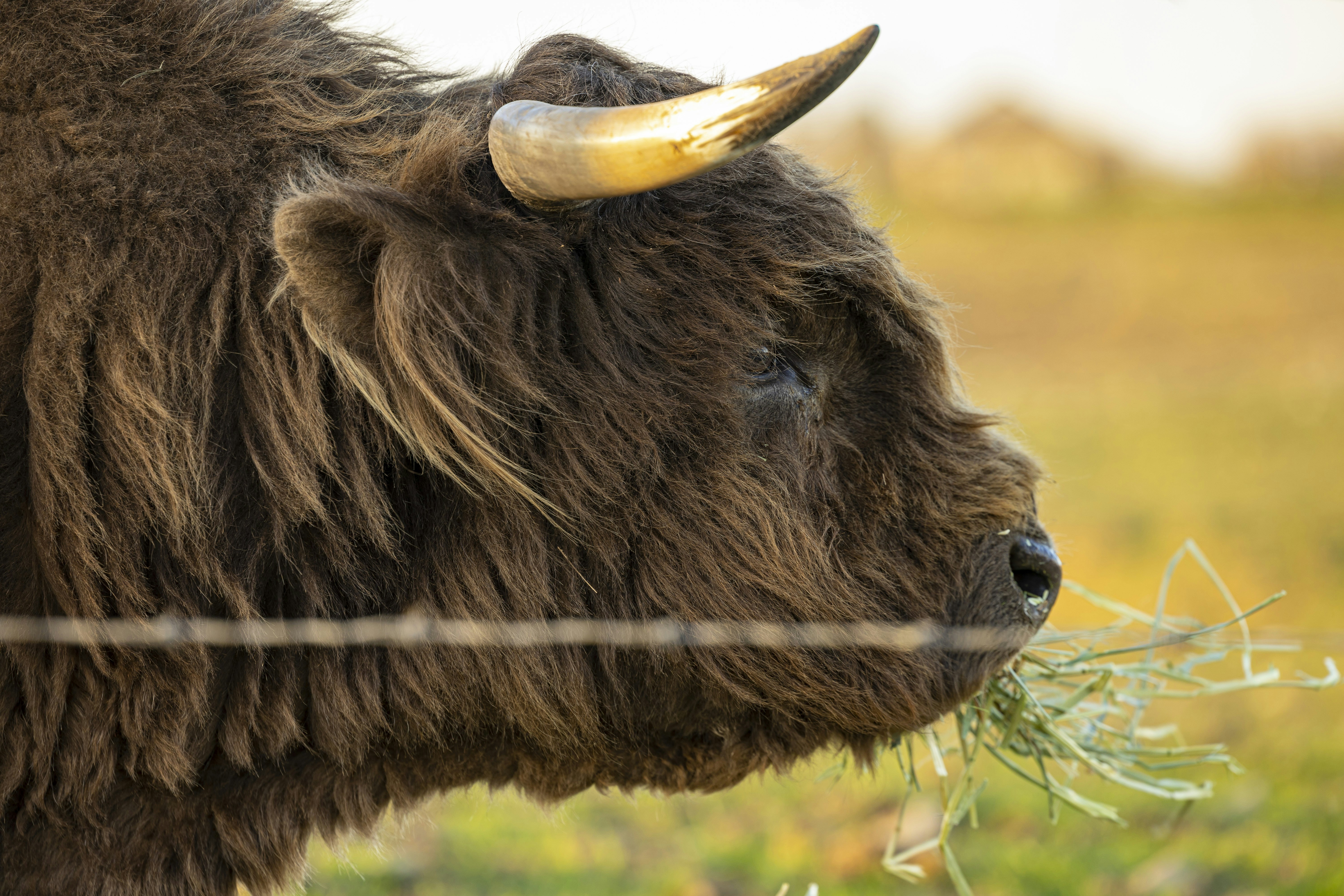 Photo by leo_visions_