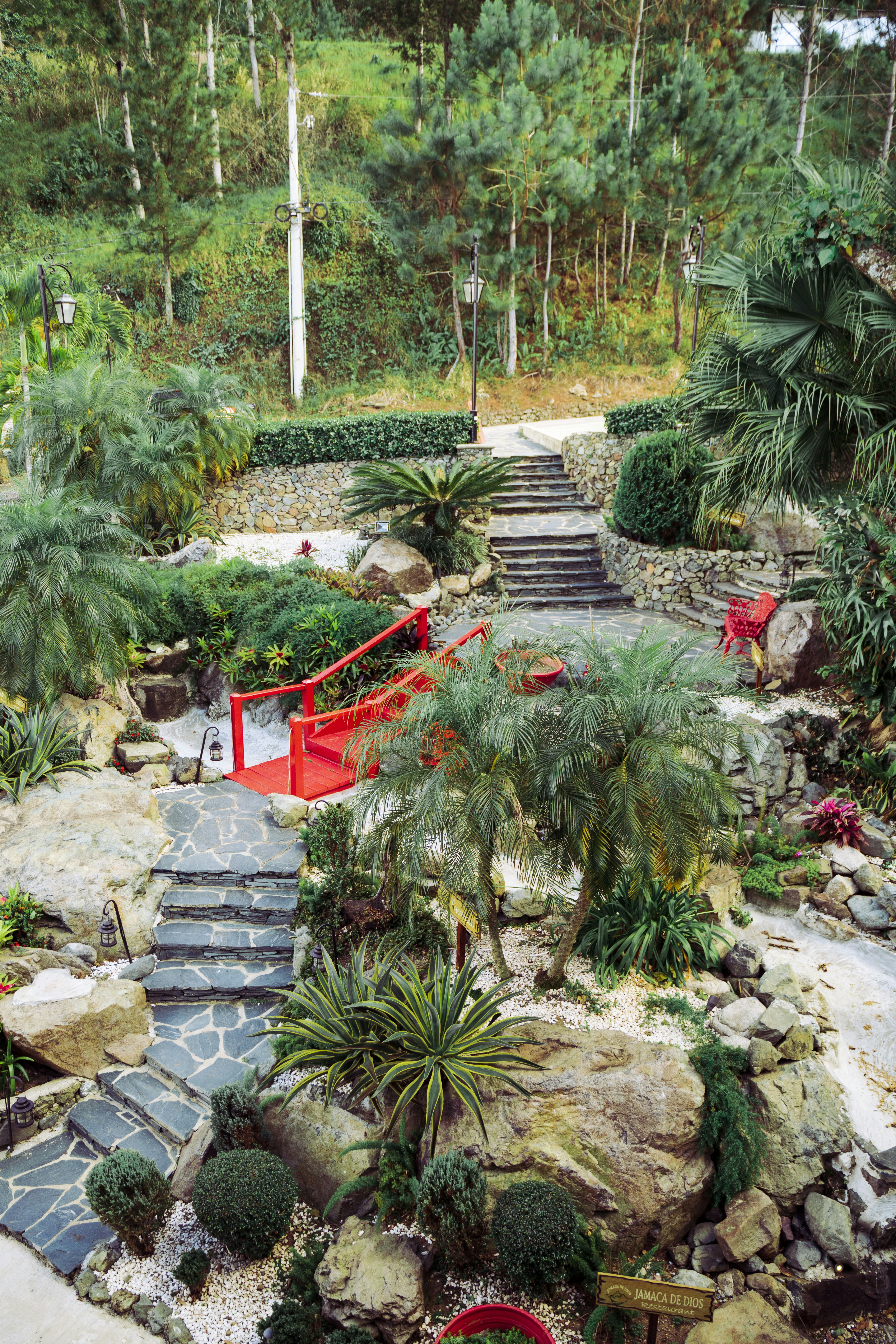 Photo by deniosrphoto