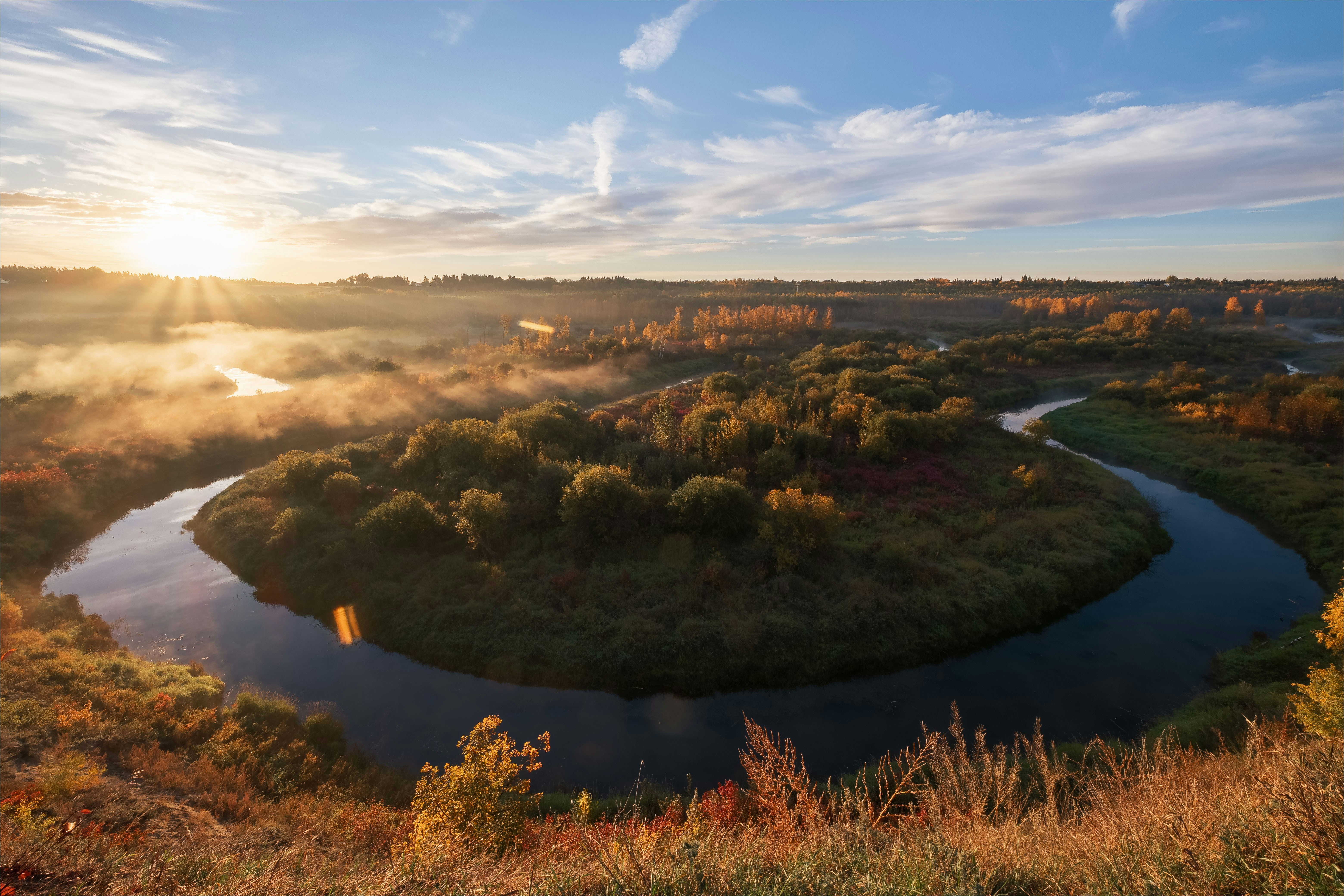 a river running through a lush green forest