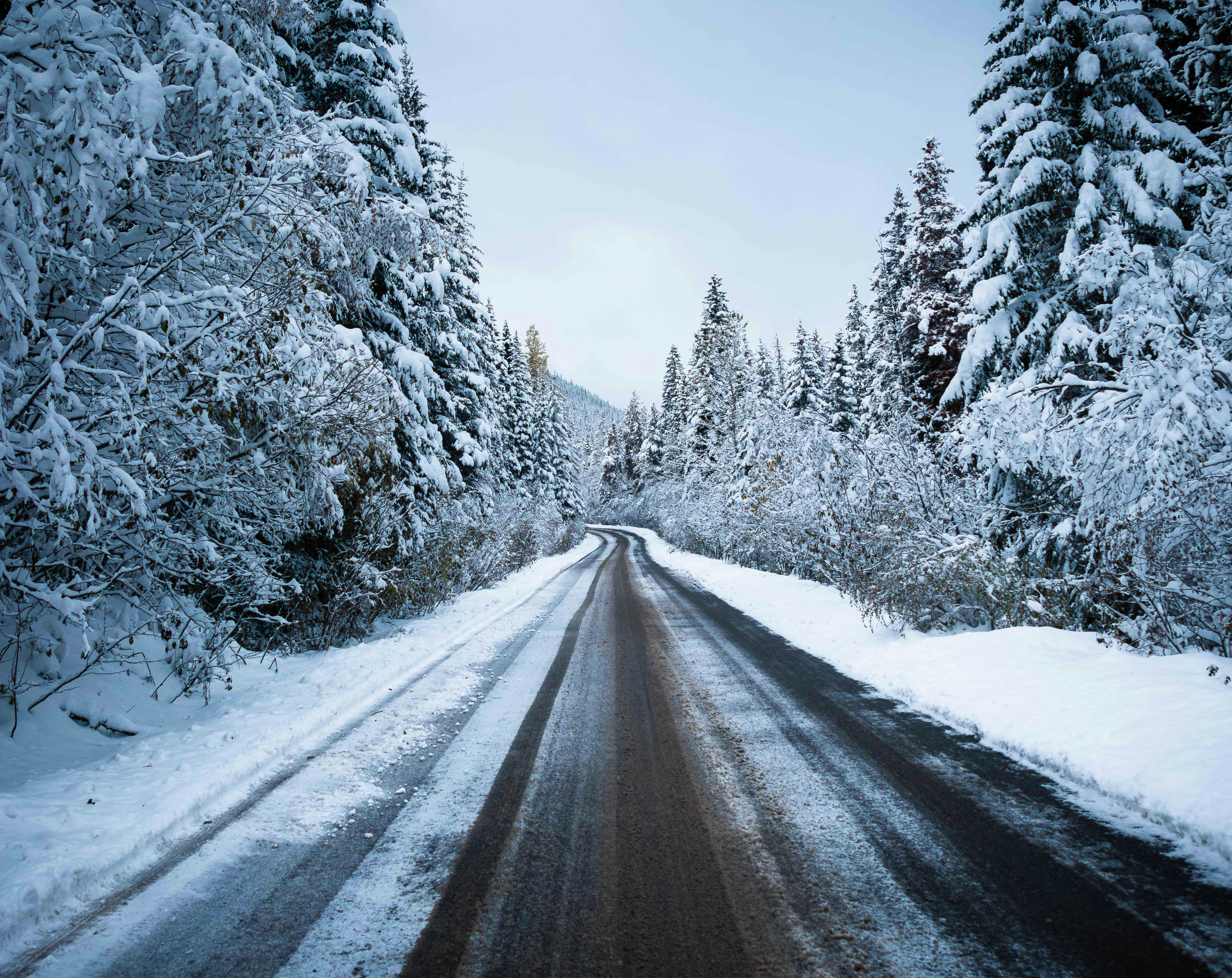 Photo by tristansosteric