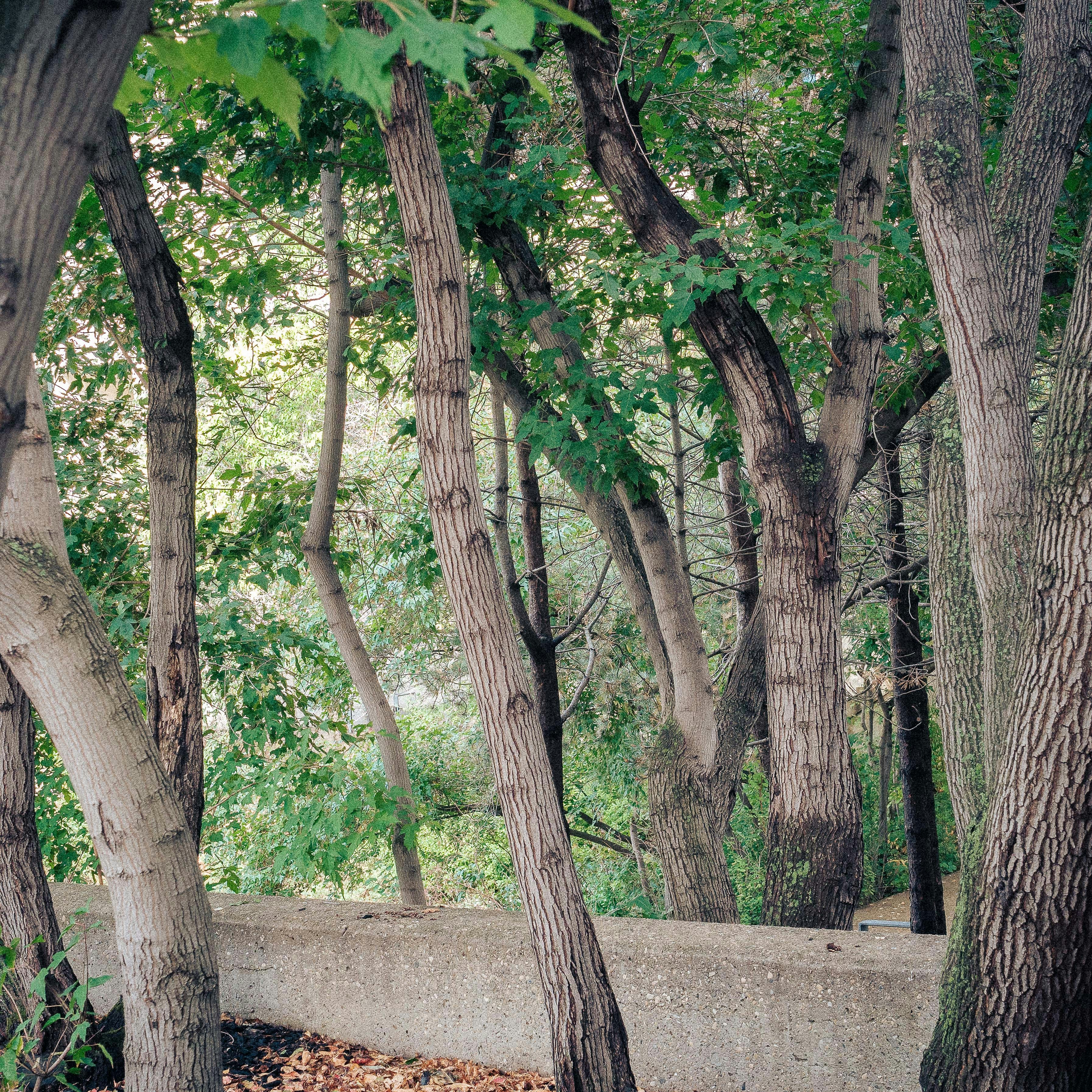 Photo by tristansosteric