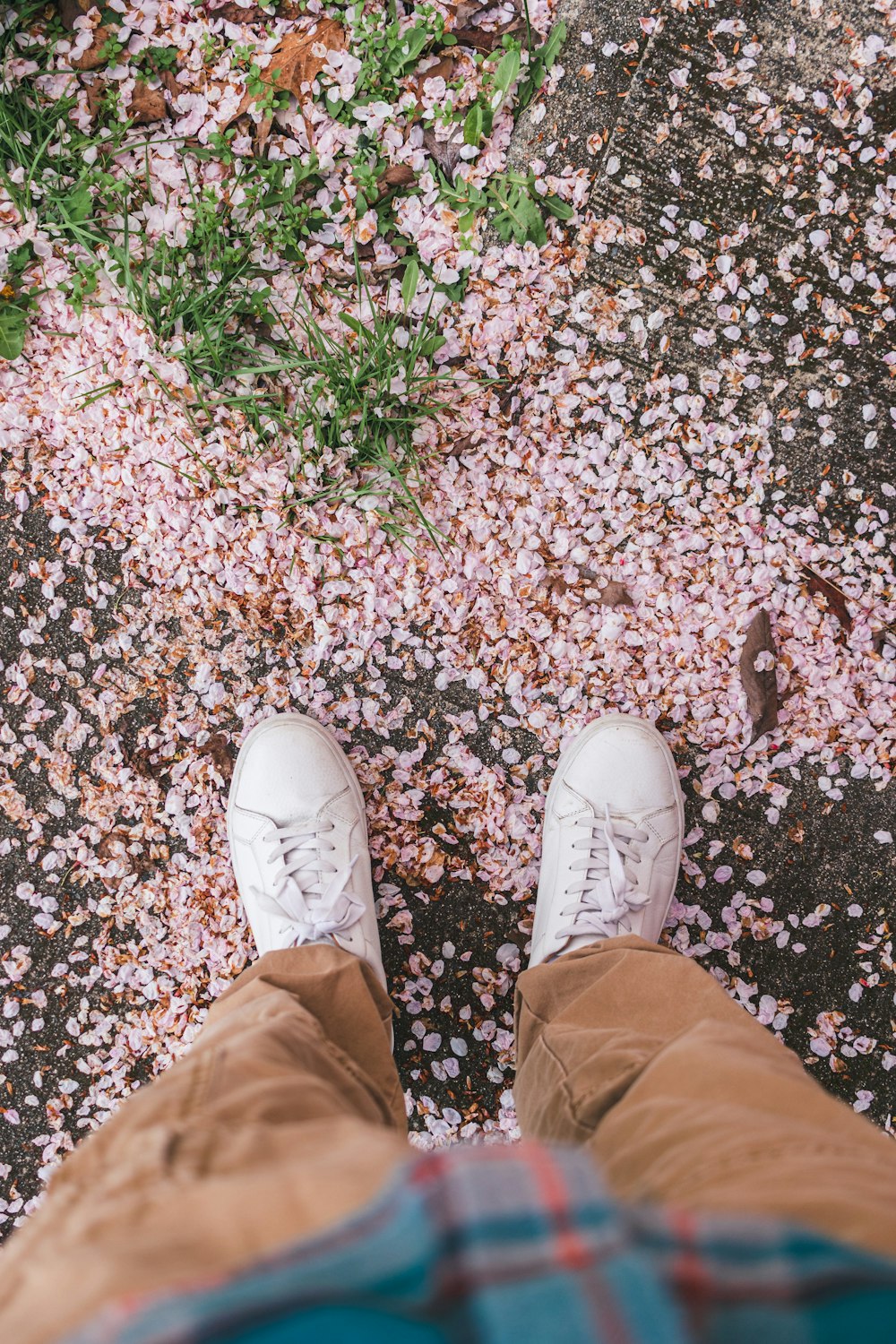 a person standing on top of a sidewalk covered in pink flowers