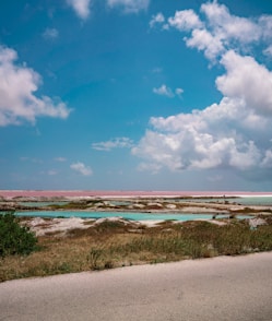 a large body of water sitting next to a lush green field