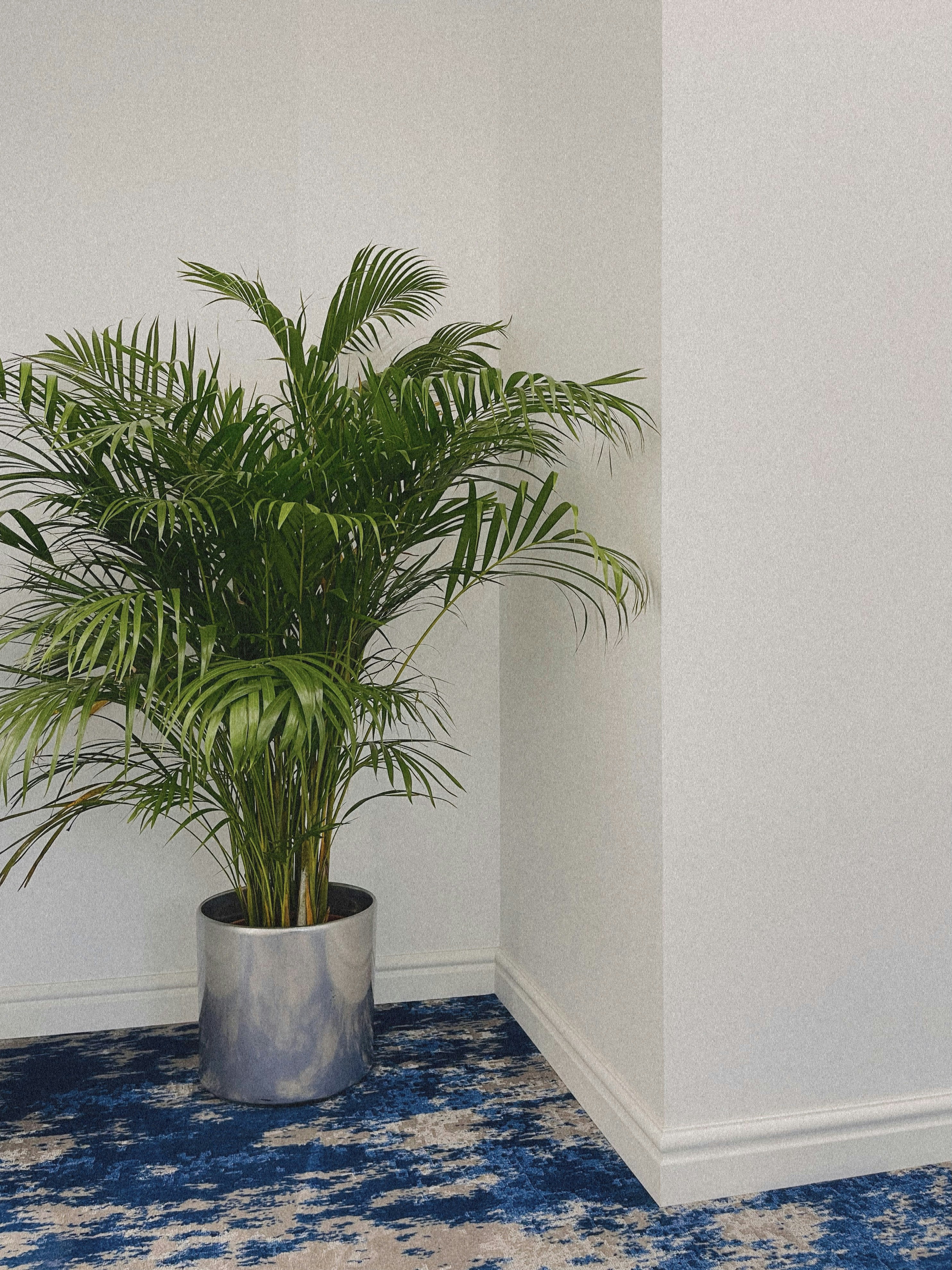 Elegant Bamboo Planter