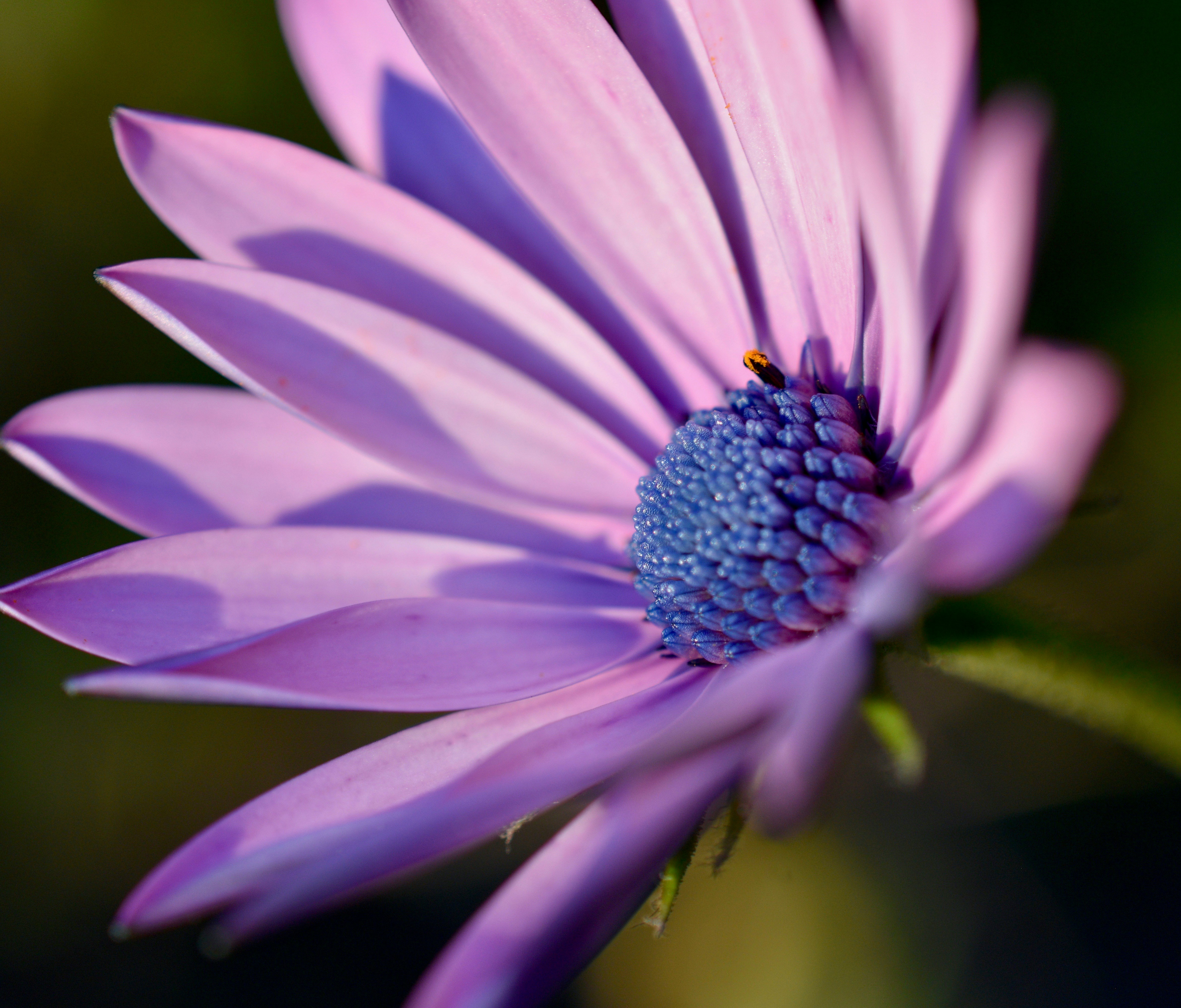 Photo by erinfreeneyphotography