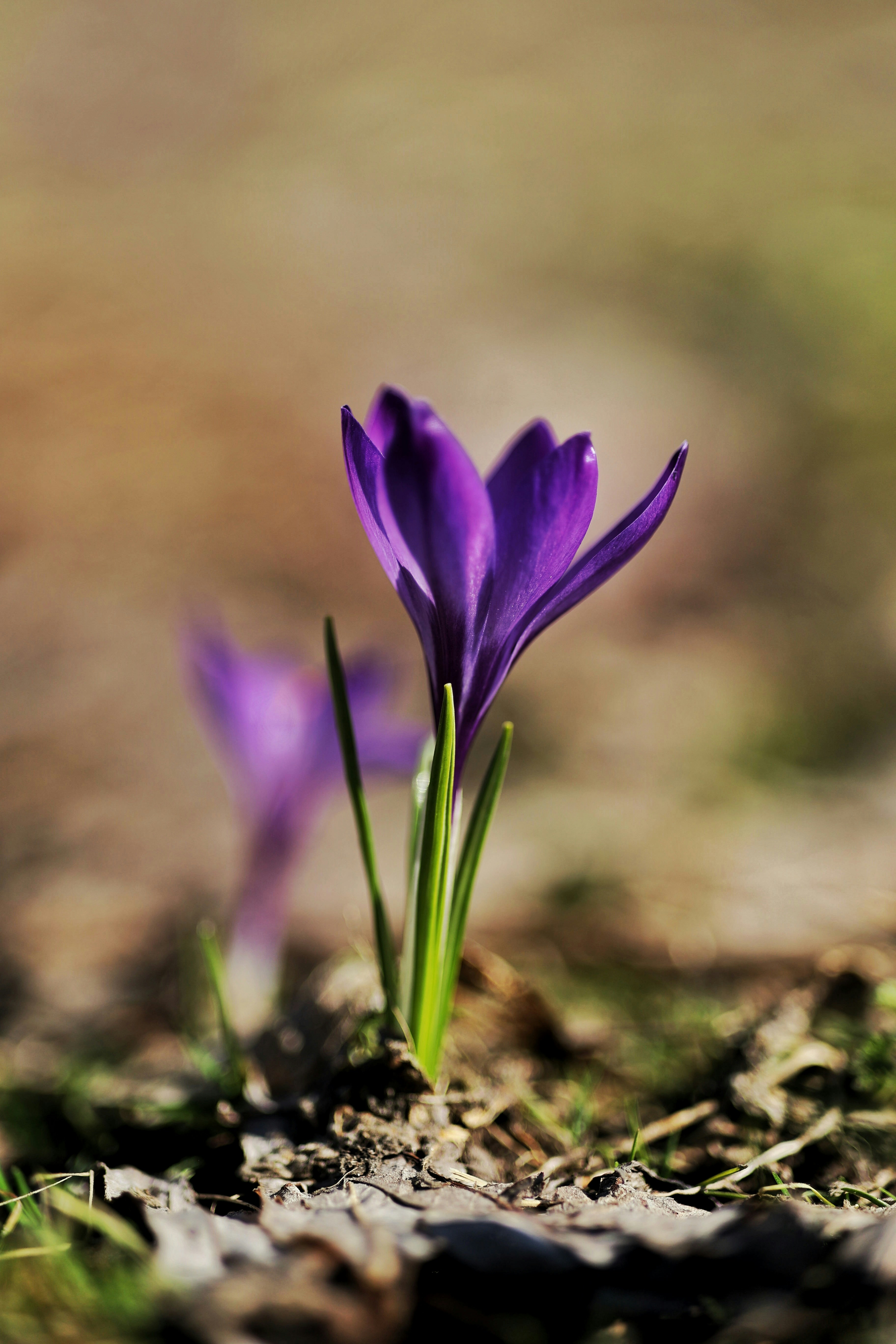 Photo by joshua_hoehne