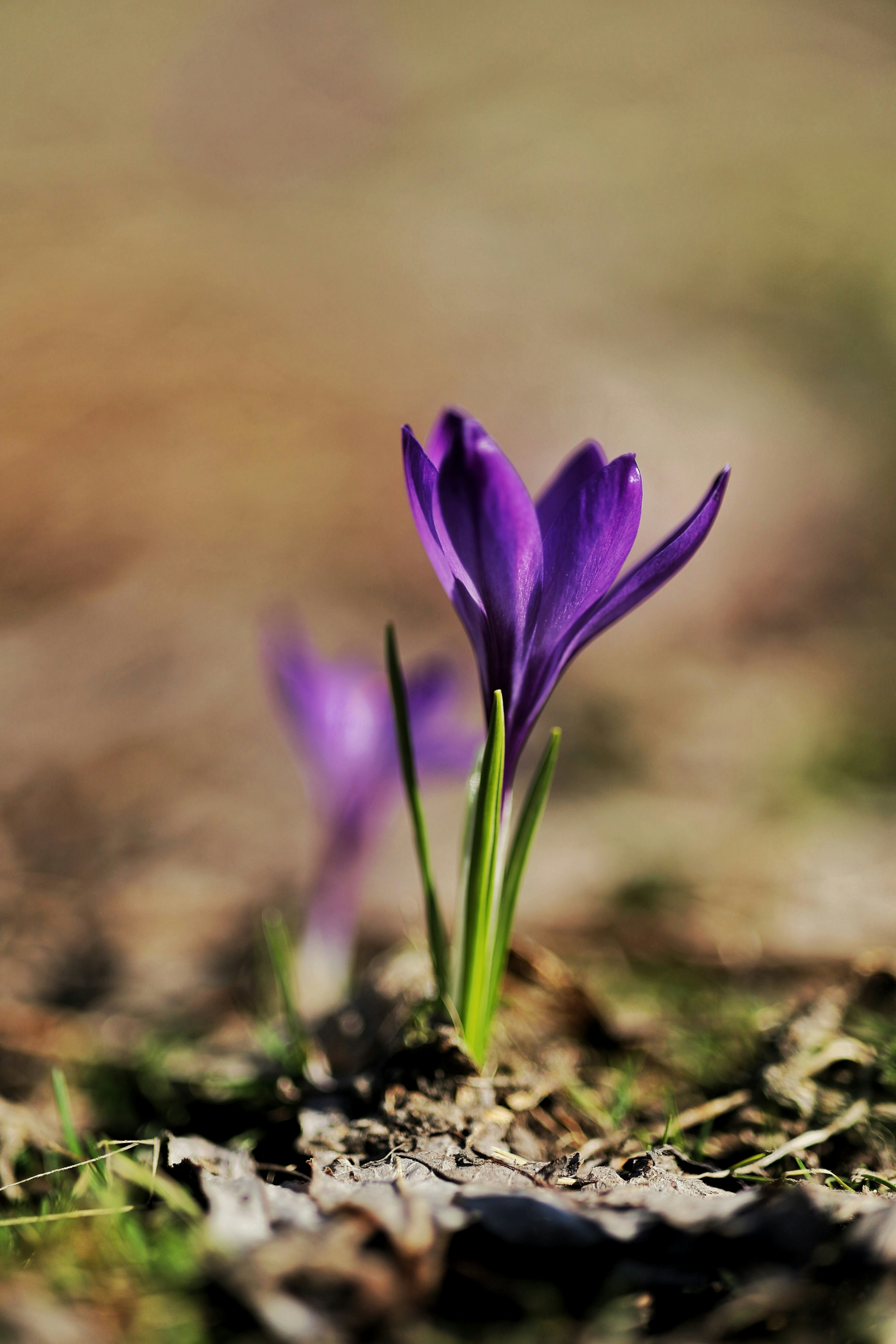 Photo by joshua_hoehne